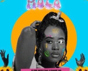 DJ Prie Nkosazana - Molo ft. Dynamic Duo & Siphe M