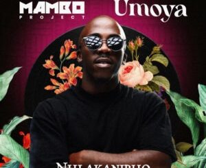 Nhlakanipho & The Mambo Project - Umoya (Original Mix)
