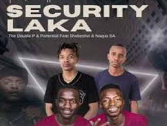 Phobla On The Beat & Prince Zulu - Security Laka ft. Shebeshxt, Naqua SA, KayCherlow & Potential