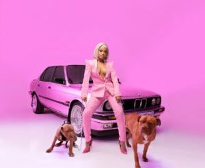 Zee Nxumalo, DJ Tira & Goldmax - Drip Juluka ft. Dee Koala, Zulu Mkhathini, Boity & Ney