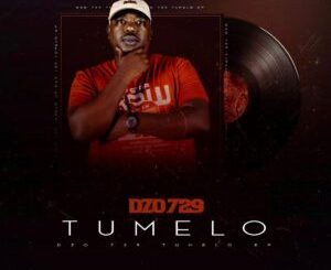 Dzo 729 - Tumelo Album