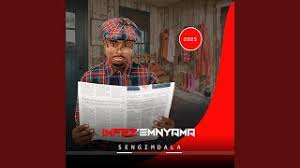 Imfezemnyama - Luyangibhayizisa ft. Mnyovu