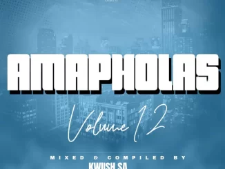KWiiSH SA - Amapholas Vol. 12 Mix