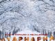 Scotts Maphuma, Mbuxx & Rekere - Uyaphapha ft. Shaunmusiq, Ftears & Pcee