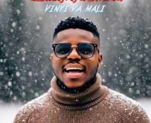 Tebza De DJ - Vinyi Va Mali ft. DJ Nomza The King