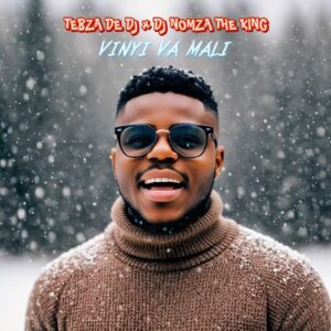 Tebza De DJ - Vinyi Va Mali ft. DJ Nomza The King