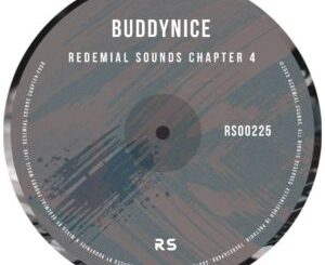 Buddynice - Redemial Sounds Chapter 4 (DJ Mix)