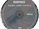 Buddynice - Redemial Sounds Chapter 4 (DJ Mix)