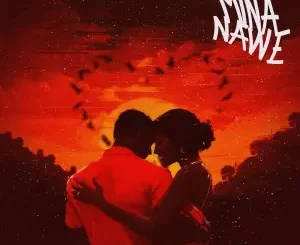DJ KSB - Mina Nawe ft. Nicco NK