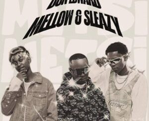 Don Edward, Mellow & Sleazy - Metsi