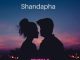 Eshi RSA - Shandapha (Lekompo Full Remix)