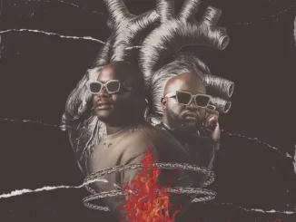 Master Jay & Zain SA - iNtliziyo