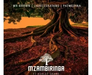 Mr Brown - Mzambiringa ft. LionessRatang, Pat Medina & Ashley Shane