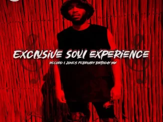 Record L Jones - Exclusive Soul Experience Vol 2 (Birthday Mix)