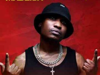 Reece Madlisa - Vavavoom ft. Sash, Slungesh, Jay Master, De Flame Keyz, M00tion & Shavul