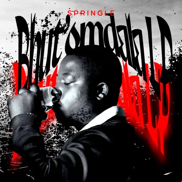 Springle - Qaphela ft. D'Braz & T&T MuziQ