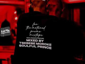 Tsebebe Moroke - For The Matured Promo Mixtape (100% Production Mix 17)