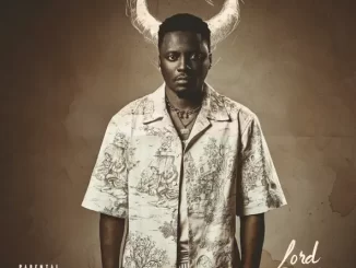 Yanga Chief - Ndim Kwakhona ft. Yanga Ntshakaza
