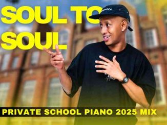 DJ Ace - Soul to Soul (Private School Piano 2025 Mix)