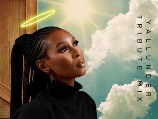 DJ Ace - Yallunder (Tribute Mix)