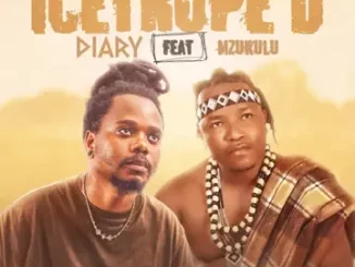 Diary & Mzukulu -Icetrope'D