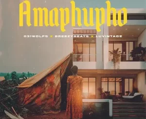 DJ Spyda, Tanaka & Tebza De DJ - Amaphupho ft. 031Wolfs, Breezybeats & Luvintage