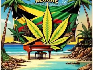 DrummeRTee924 - The Piano Reggae