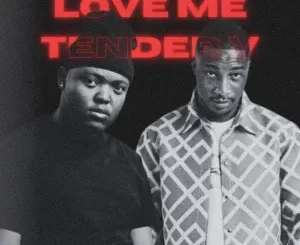 Gubziin & Nandipha808 - Love Me Tender