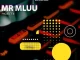 Mr Mluu - Project X EP