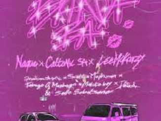 NaquaSA, CaltonicSA & Leemckrazy - Bana Ba ft. Shebeshxt, G Mashego, Scott Maphuma,Matute, Sello & DeSoul