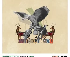 Nuno Estevez - Without You (Remixes)