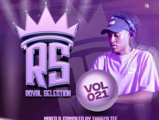 Thabza Tee - Royal Selection #21 (100% Production mix)