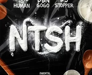 Thuto The Human, DBN Gogo & DJ Stopper - NTSH