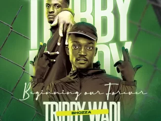 Tribby Wadi Bhozza & Buddy Sax - Bambi ft. Shandesh & Ntate Stunna
