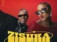 Vuyina - Zisuka ft. Flow Jones Jr.