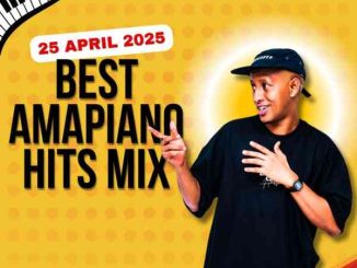DJ Ace - Amapiano Mix (April 2025)