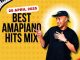 DJ Ace - Amapiano Mix (April 2025)