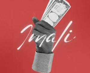 Gubziin - iMALI ft. DT.MO, Motsow06, Saucy & Nation Deep