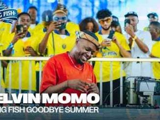 Kelvin Momo - Flying Fish Goodbye Summer Mix