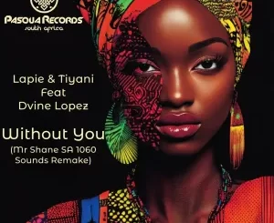 Lapie, Tiyani & Dvine Lopez - Without You (Mr Shane SA 1060 Sounds Remix)