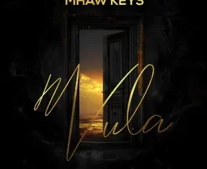 Mhaw Keys, Azana & Donald - Vula ft. Starr Healer & DJ Khyber