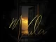 Mhaw Keys, Azana & Donald - Vula ft. Starr Healer & DJ Khyber