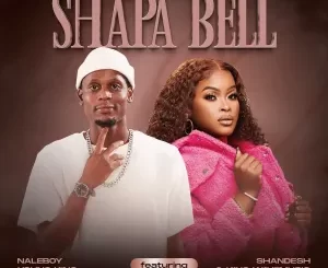 Naleboy Young King & Shandesh - Shapa Bell ft. King WaveMusiq