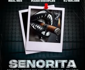 Real Nox, Kaygee The Vibe & Deep Sen - Senorita ft. Tellapee, DJ Walgee, Piano Disciples & Locco Musiq