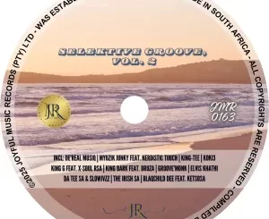 VA - Selektive Groove, Vol. 2