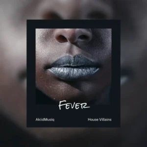 AkiidMusiq & House Villains - Fever