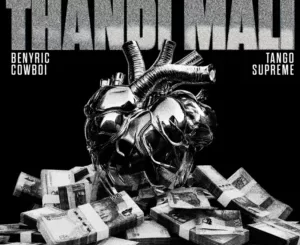 Cyfred, Sayfar & Scotts Maphuma - Thandi Mali ft. BenyRic, Cowboii & Tango Supreme