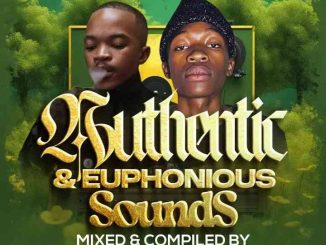 Lowbass Djy & MCannal - Authentic & Euphonious Sounds