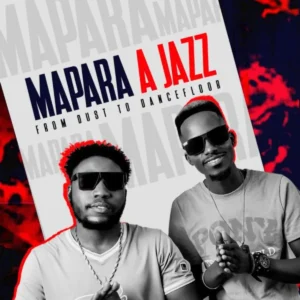 Mapara A Jazz - From Dust To Dance Floor Album