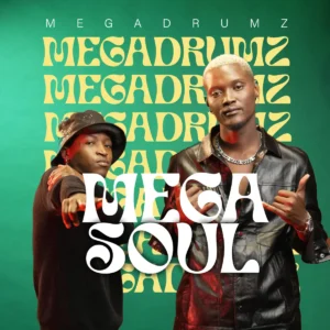 Megadrumz - Mega Soul Album